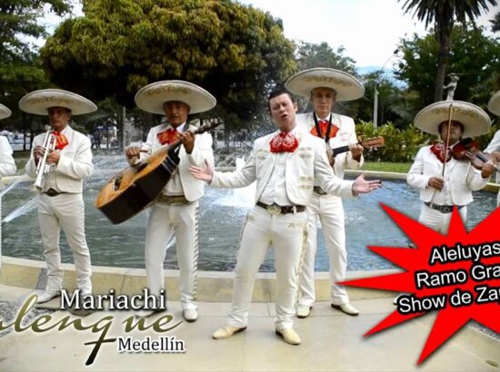 Mariachi palenque 